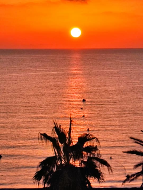 Ausblick Hipotels Hipocampo Playa