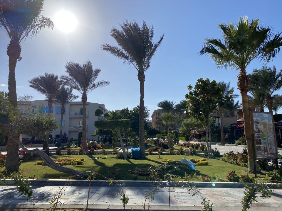 Gartenanlage Seagull Beach Resort