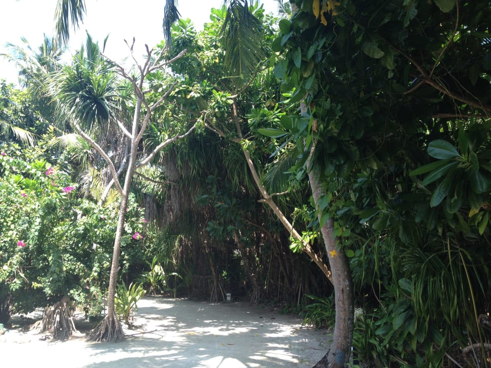 Gehweg auf der Insel Adaaran Select Meedhupparu Island Resort - Premium All Inclusive