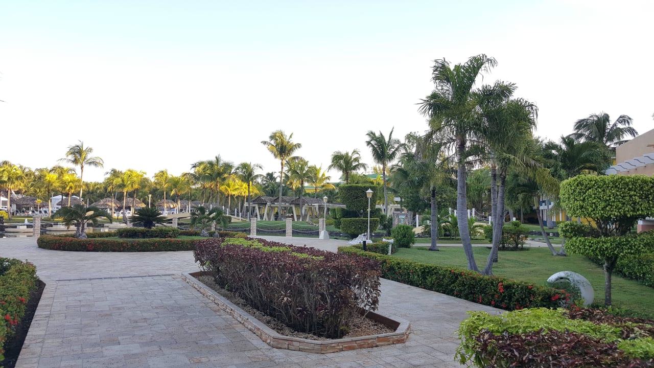 Ansichten und Details der Gartenanlage Melia Las Antillas - Adults only