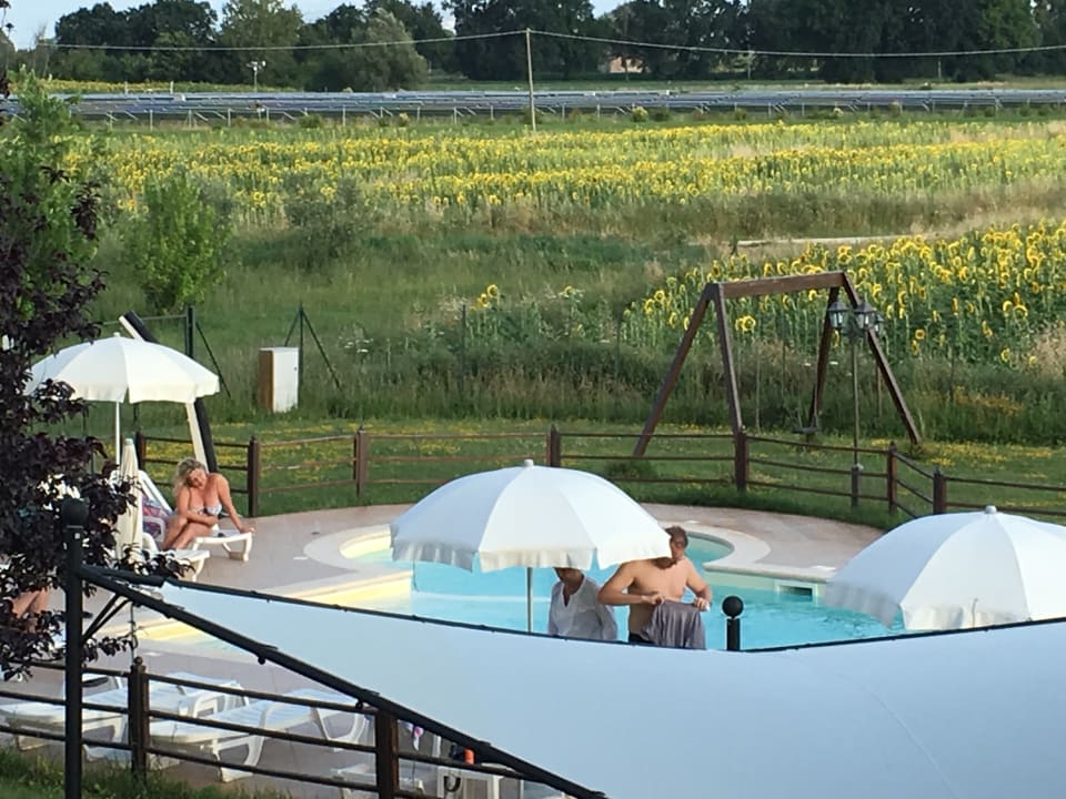 Pool Agriturismo Le Rondini di Francesco di Assisi