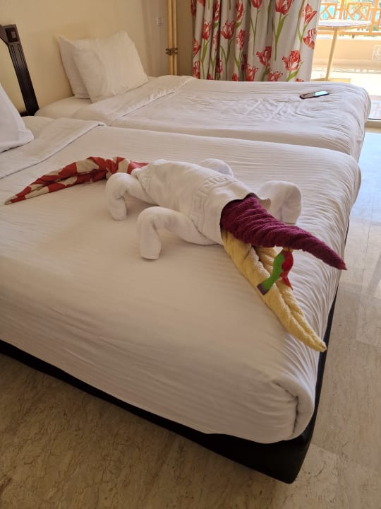 Zimmer Continental Hotel Hurghada