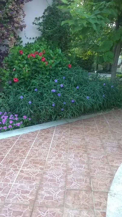 У бассейна  VONRESORT Golden Beach