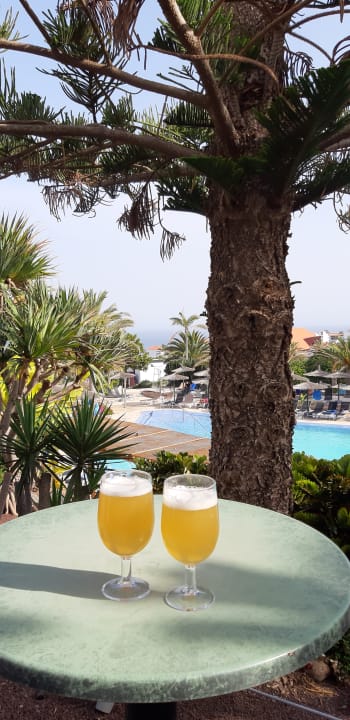 Ausblick allsun App.-Hotel Esquinzo Beach