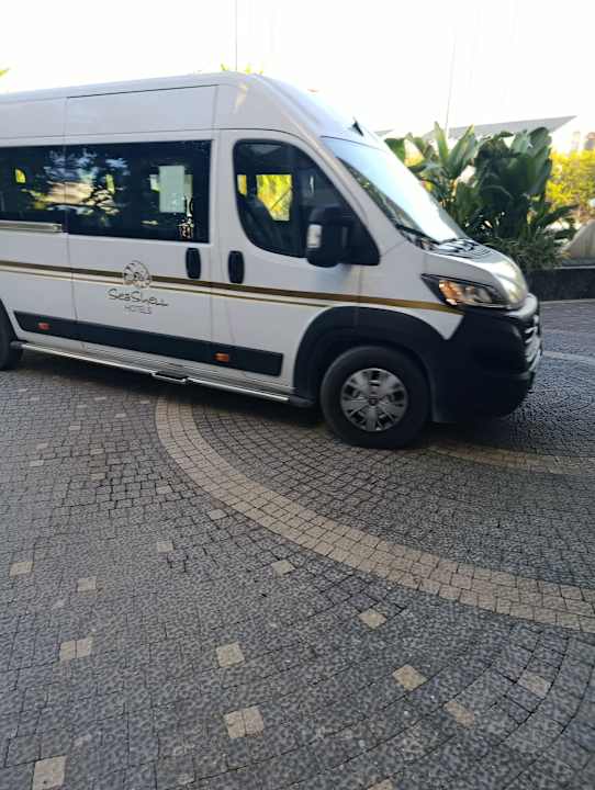 Strand Seashell Vega