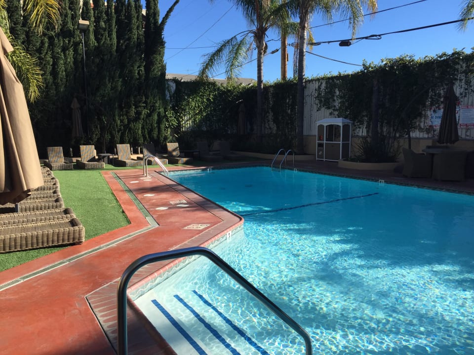 Pool Hollywood Hotel - The Hotel of Hollywood