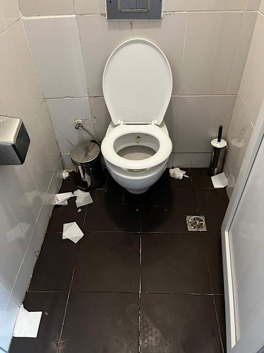 Zimmer Clover Magic Nova Beach