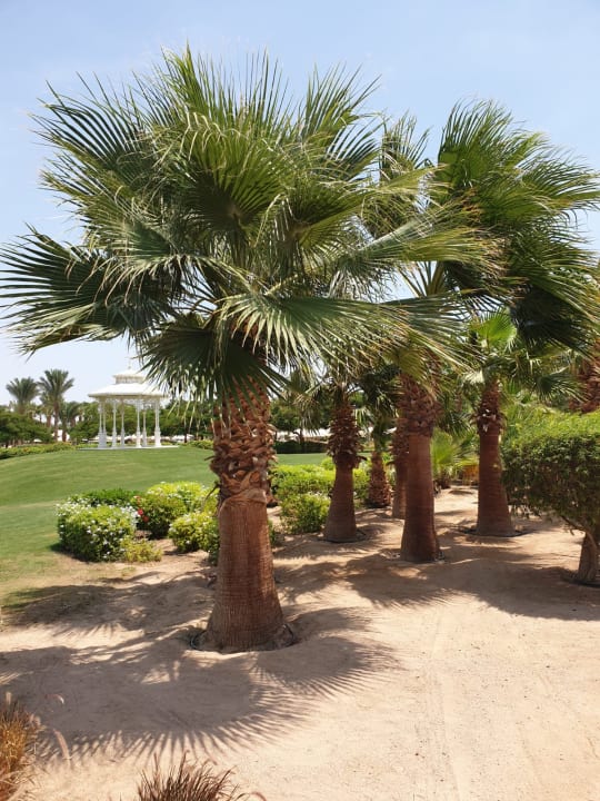 Garten Steigenberger Aqua Magic