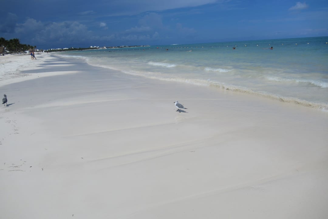 Strand Catalonia Playa Maroma