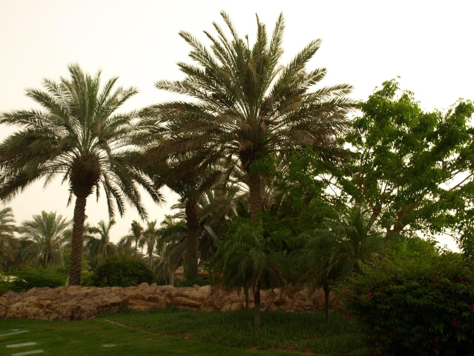 Emirates Palace Emirates Palace Mandarin Oriental