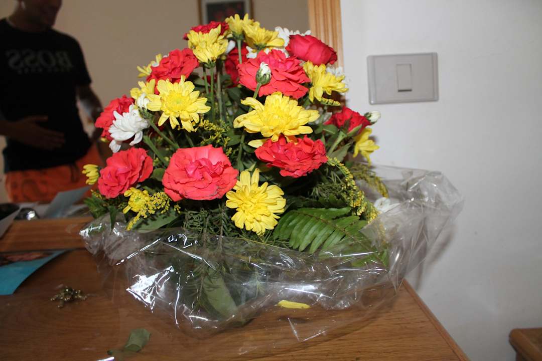 Festival Riviera Resort Riviera Aqua Park Resort