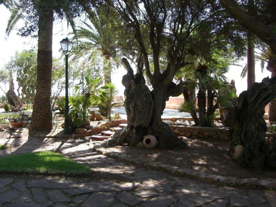 A THB Los Molinos - Adults only