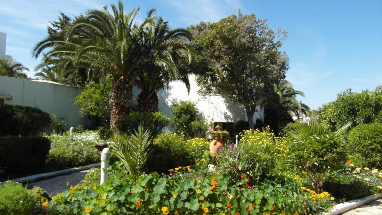 Der Garten The Orangers Beach Resort and Bungalows