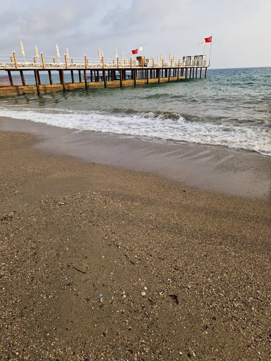 Strand Dizalya Palm Garden