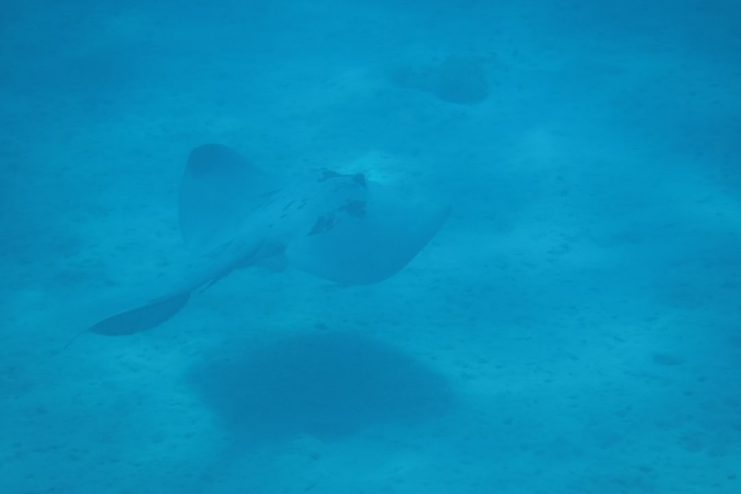 Sport & Freizeit Hotel Kempinski Soma Bay