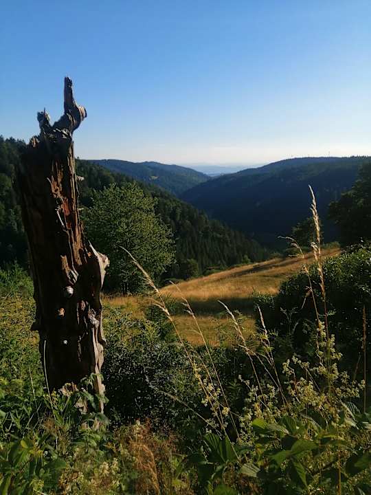 Sport & Freizeit Hotel Am Kurpark