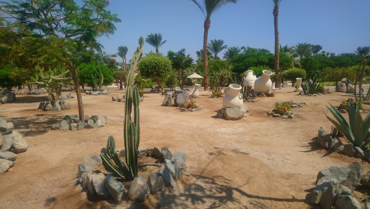 Garten Steigenberger Aqua Magic