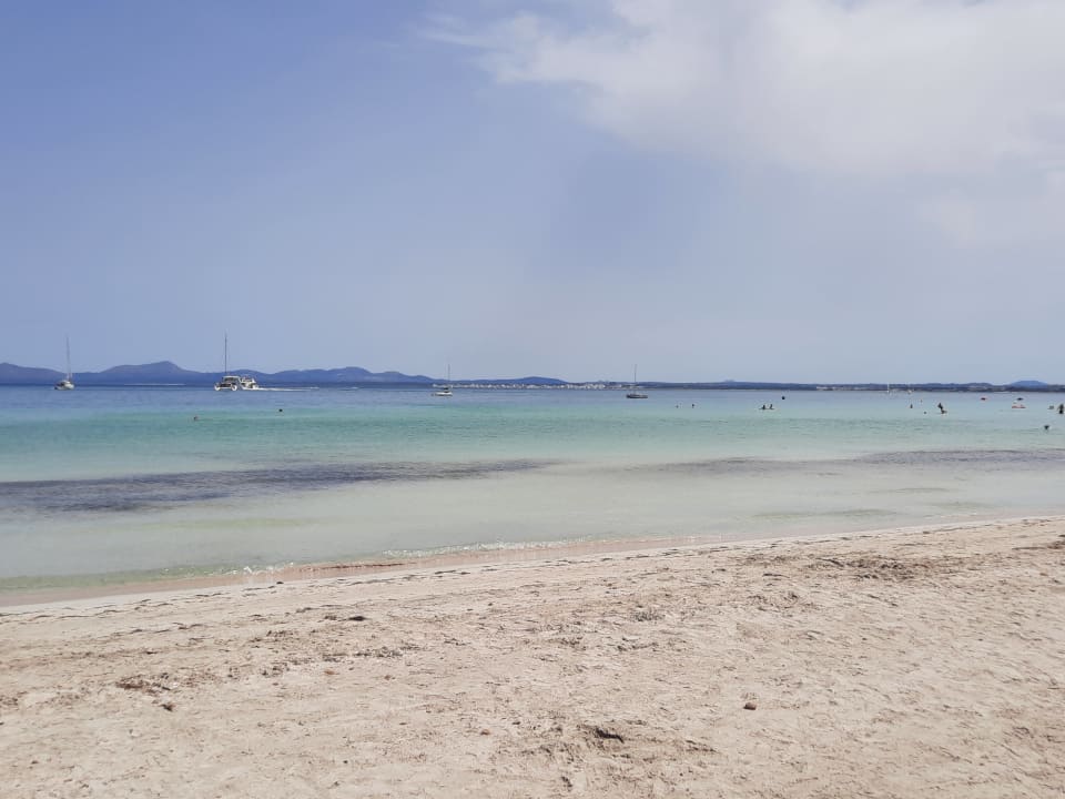 Strand Alcudia Garden Aparthotel