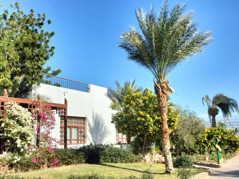 Außenansicht Menaville Safaga