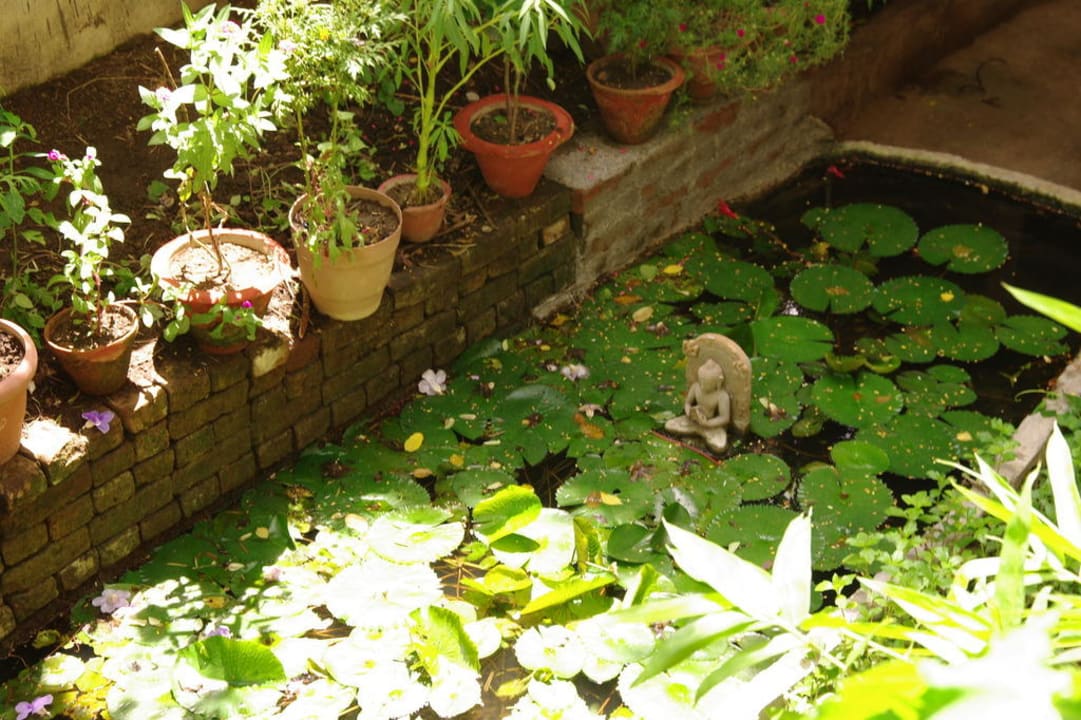 Lotus pond Hotel Zen