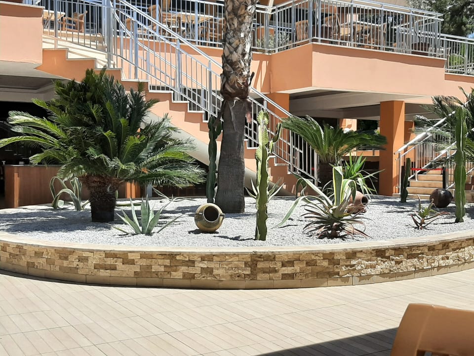 Garten Dizalya Palm Garden