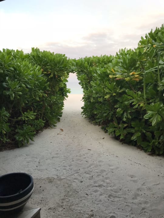 Blick von Terrasse der Villa 312 NH Collection Maldives Havodda Resort