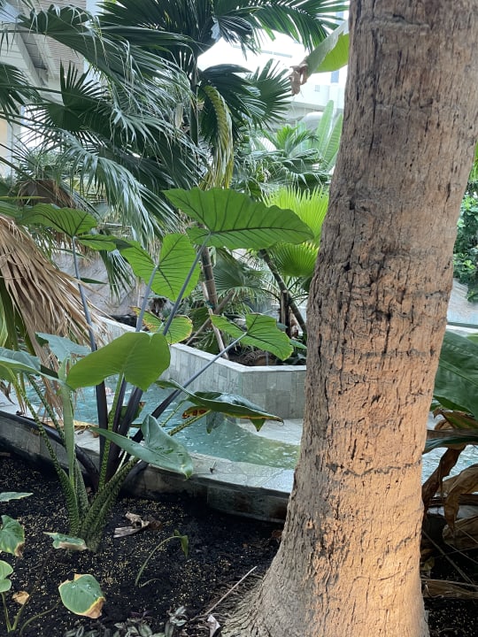 Pool Center Parcs Park Allgäu