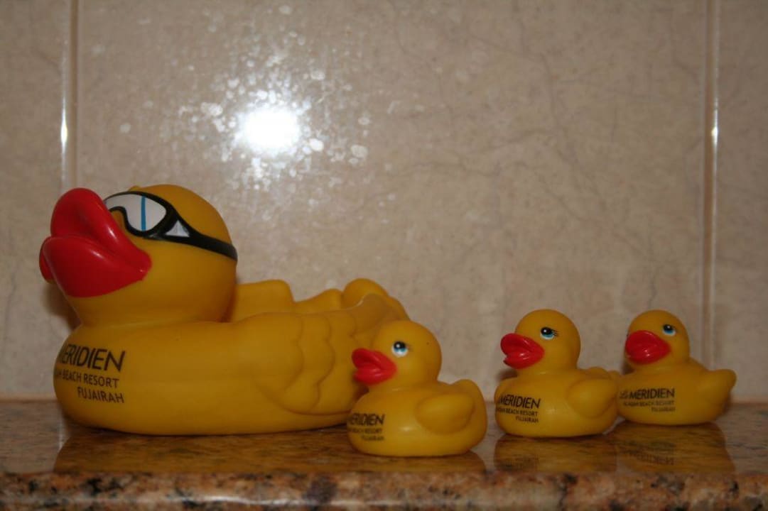 Entenfamilie für ausgiebiges Baden Hotel Le Meridien Al Aqah Beach Resort