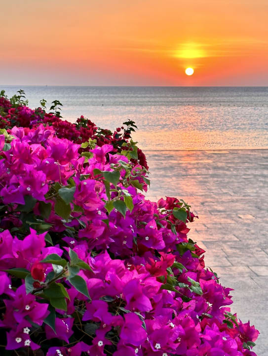 Pool Baron Palace Sahl Hasheesh