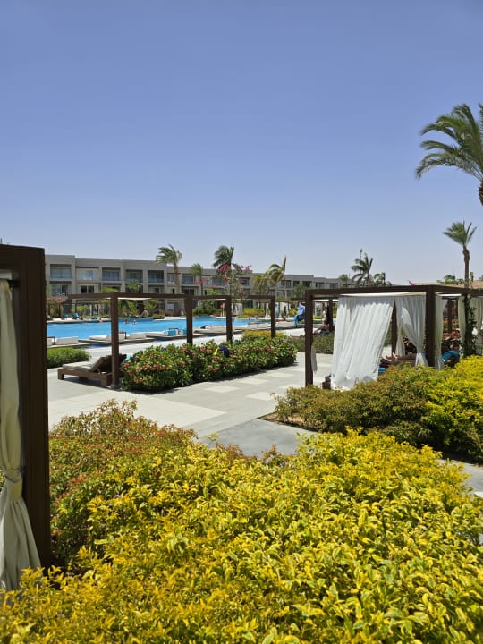 Pool Steigenberger Resort Ras Soma