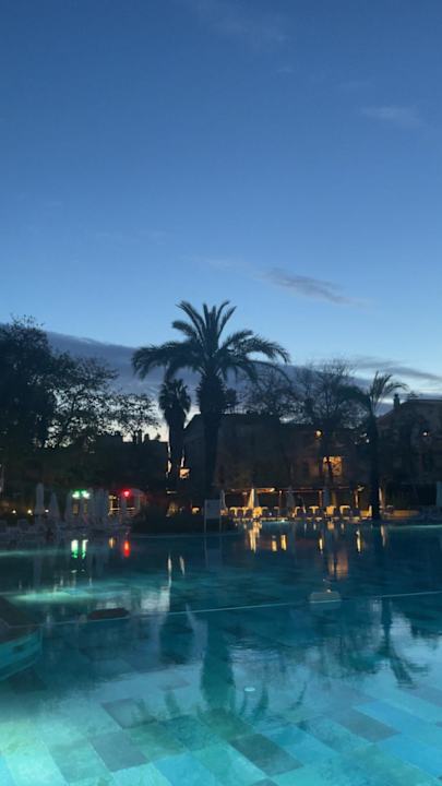 Pool Side Star Elegance