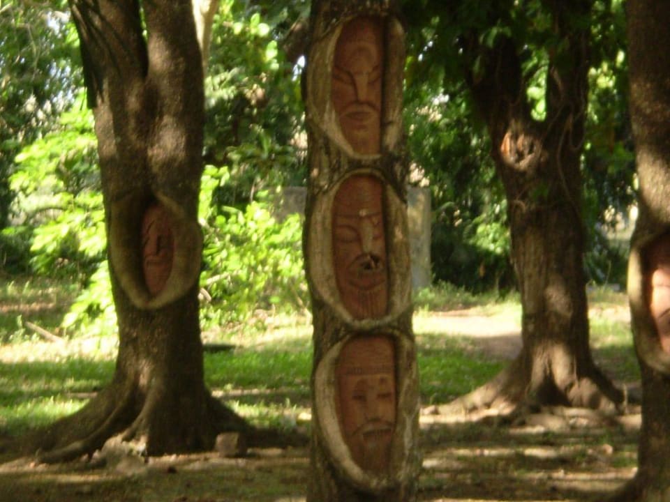 Gartenansicht Hotel Los Caneyes