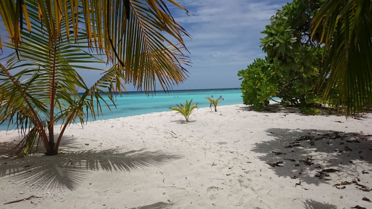 Blick von der Liege  Filitheyo Island Resort