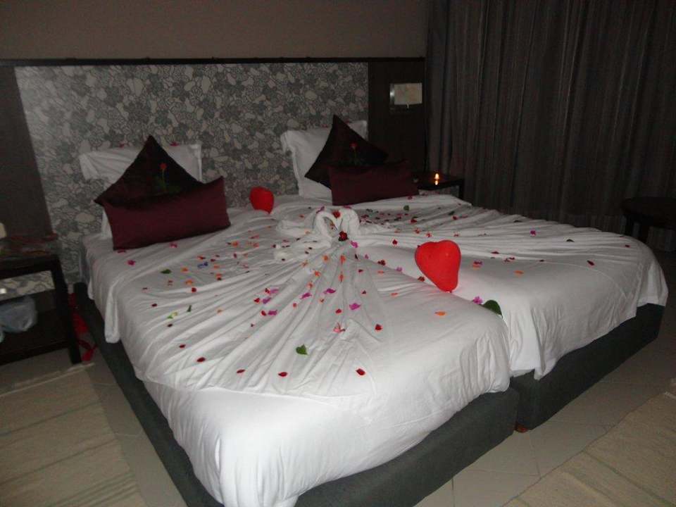 Vyzdoba Hotel Rosa Beach