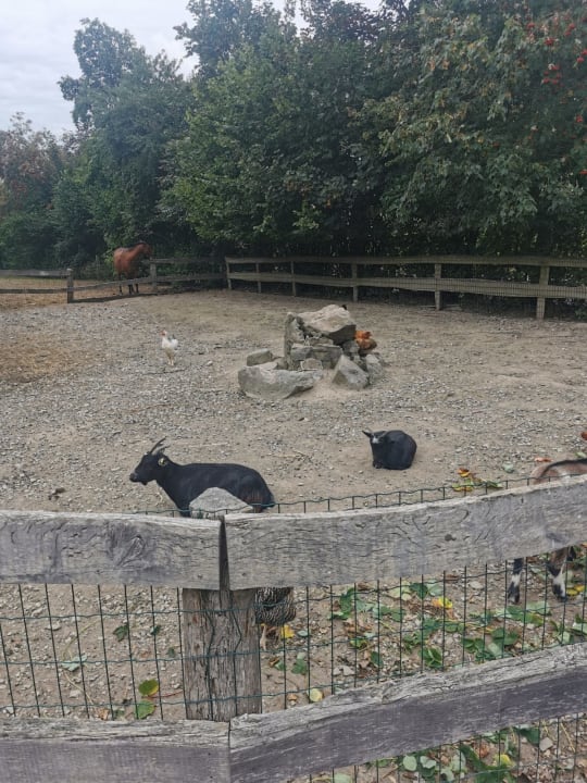 Außenansicht Wiesenberghof