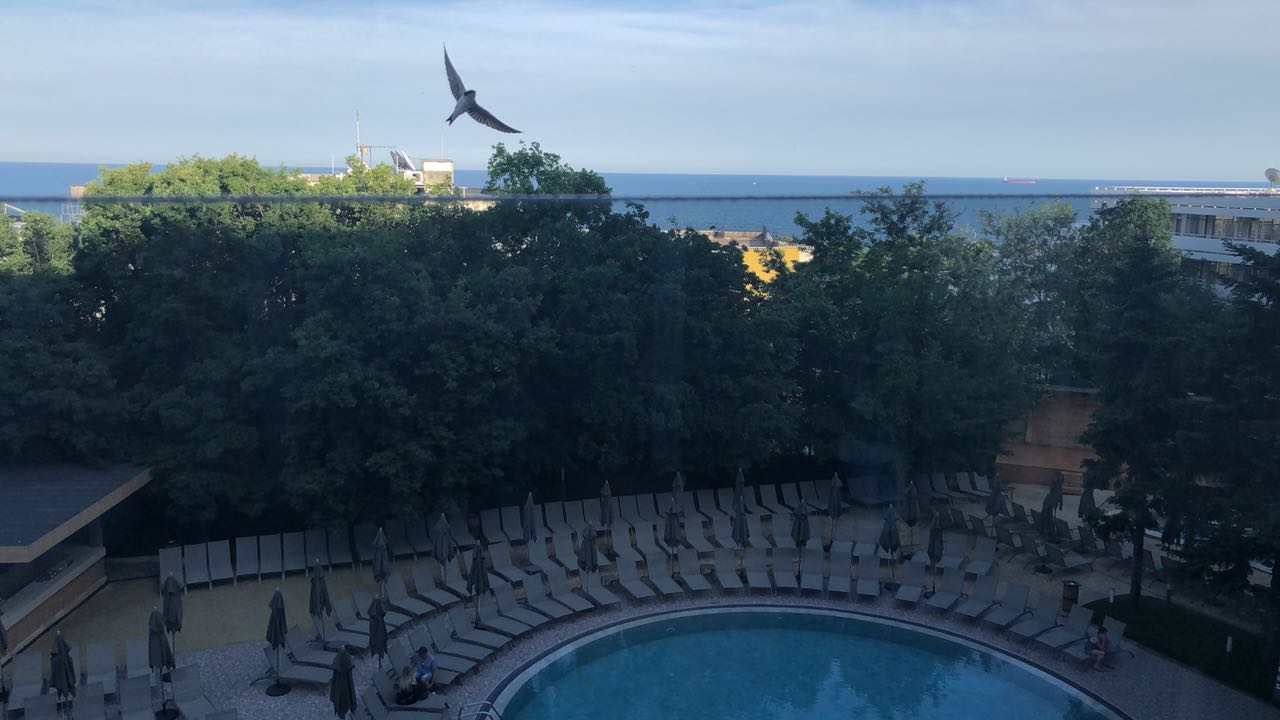 Ausblick HVD Viva Club Hotel