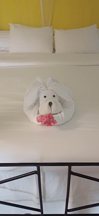 Zimmer Kuredu Island Resort & Spa