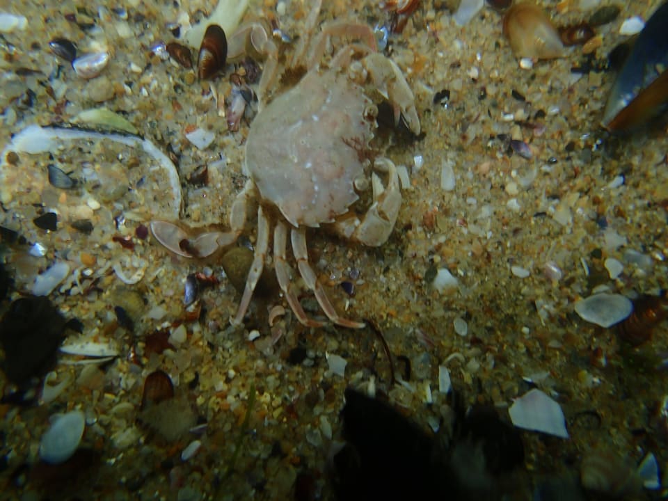 W morzu przy plaży Sol Luna Bay