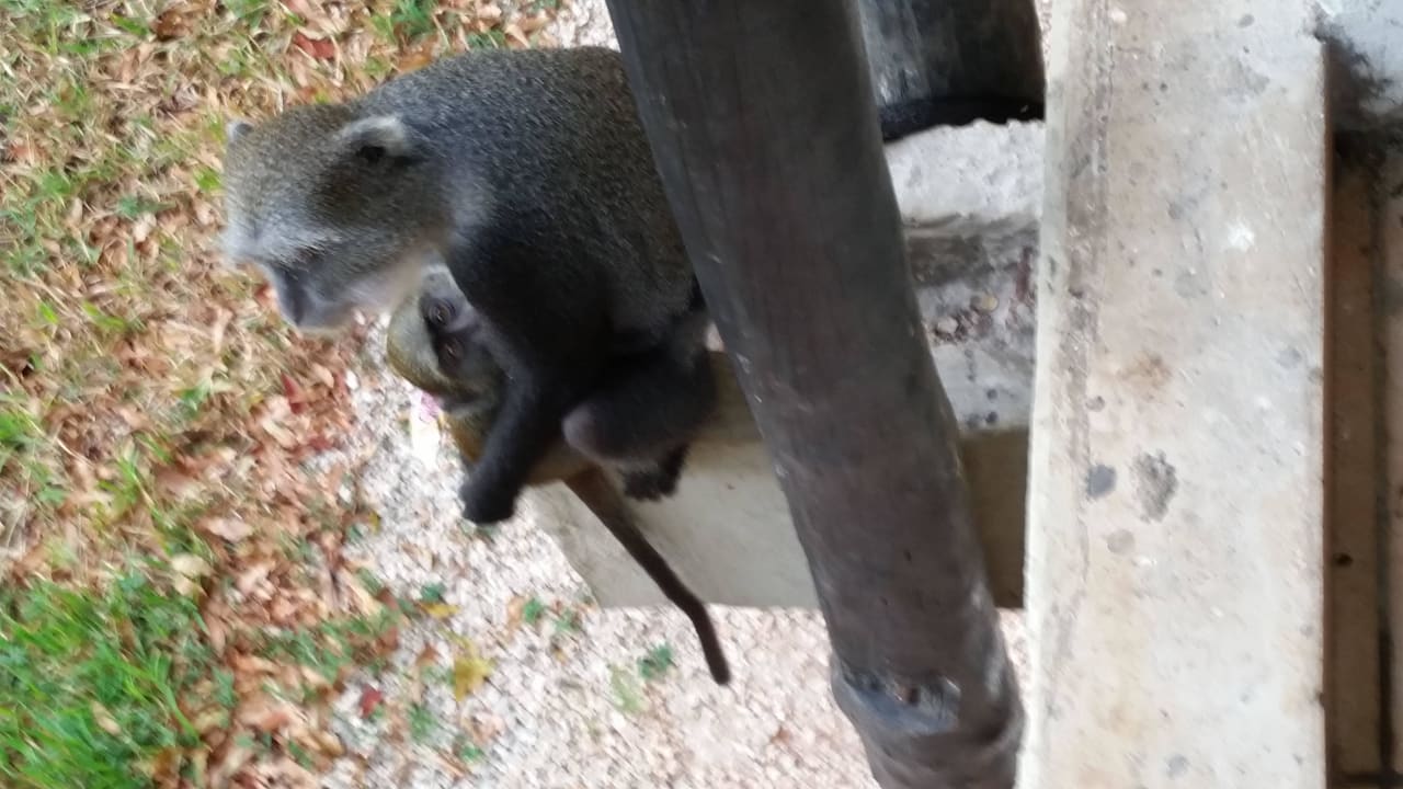 Hotel Baobab Beach Resort Baobab Beach Resort & Spa