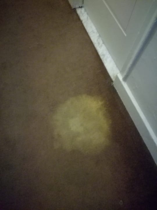 Zimmer New York's Hotel Pennsylvania