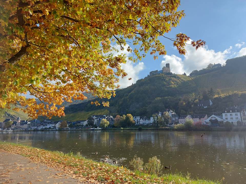 Sport & Freizeit LIFESTYLE Resort Zum Kurfürsten