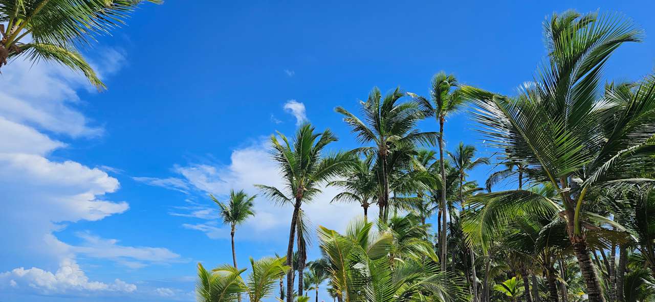 Sonstiges Hotel Riu Palace Punta Cana