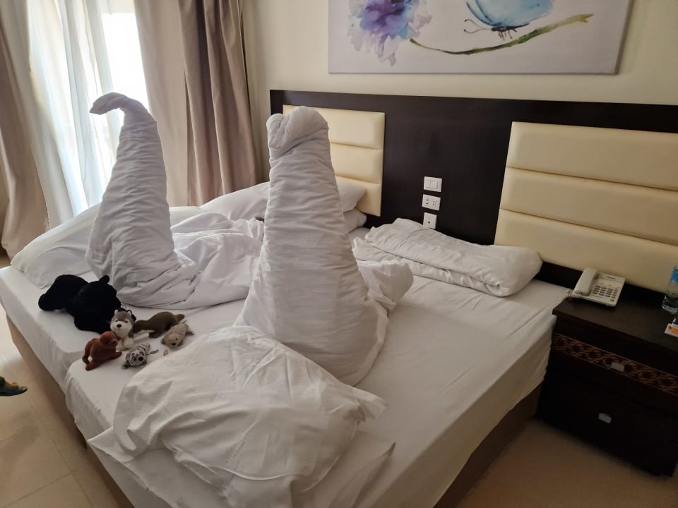 Zimmer Beach Albatros Resort