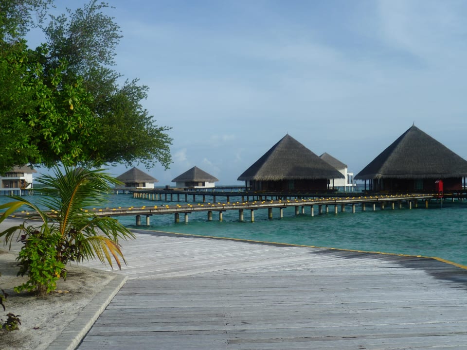 Wasserbungalow Adaaran Club Rannalhi - All Inclusive