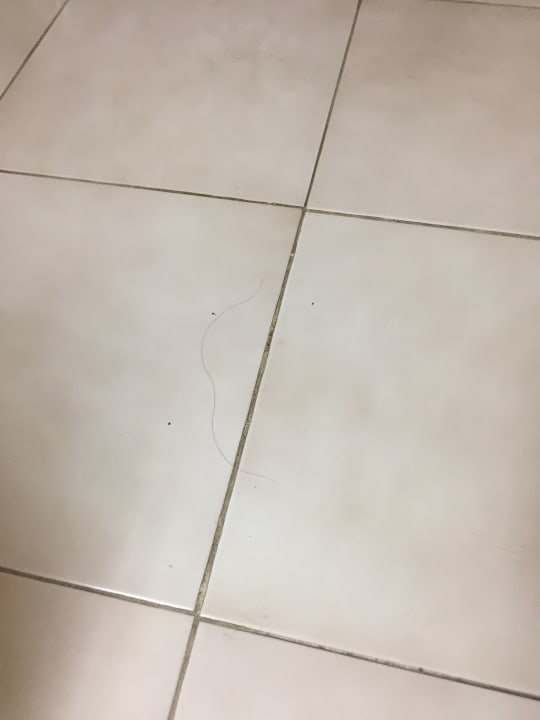 Zimmer Hotel Atlantic El Tope