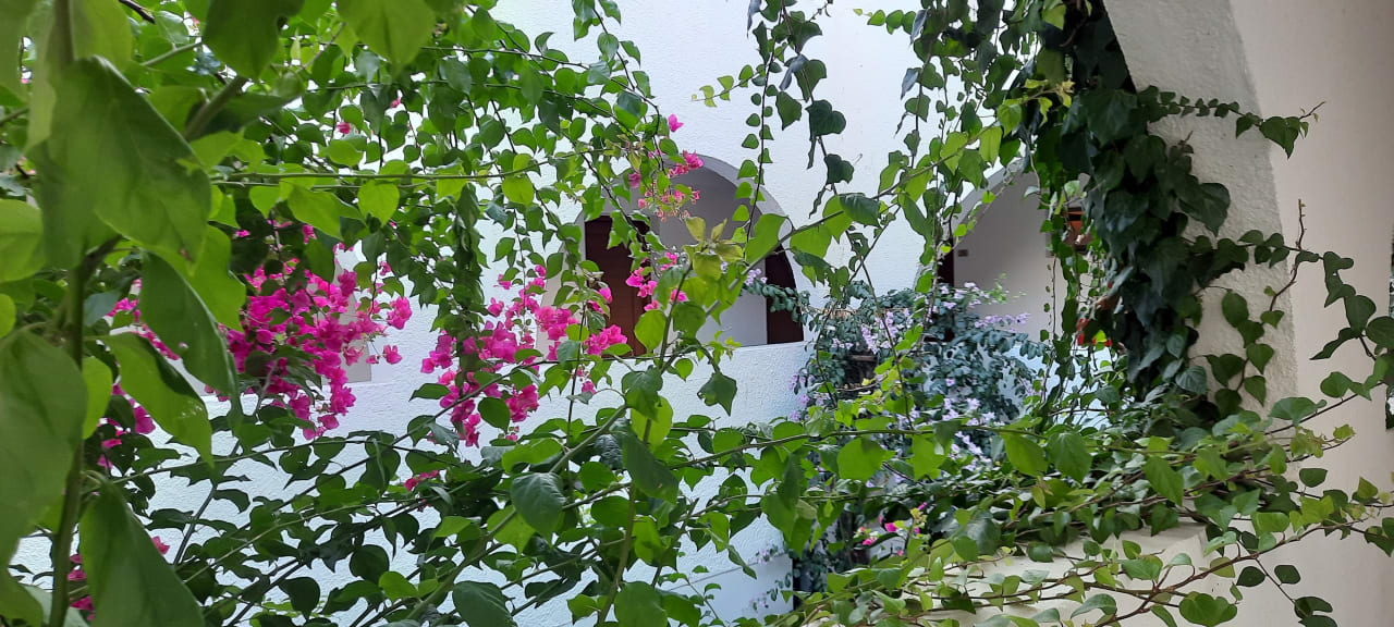 Außenansicht Porto Bello Beach