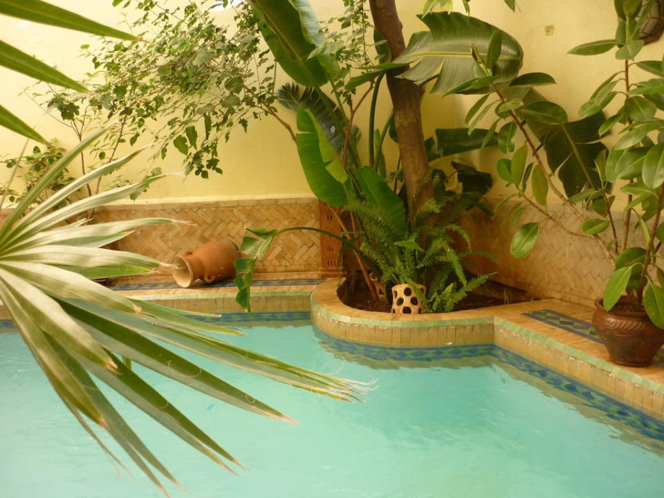 Piscine Hotel Riad La Clé De Fès