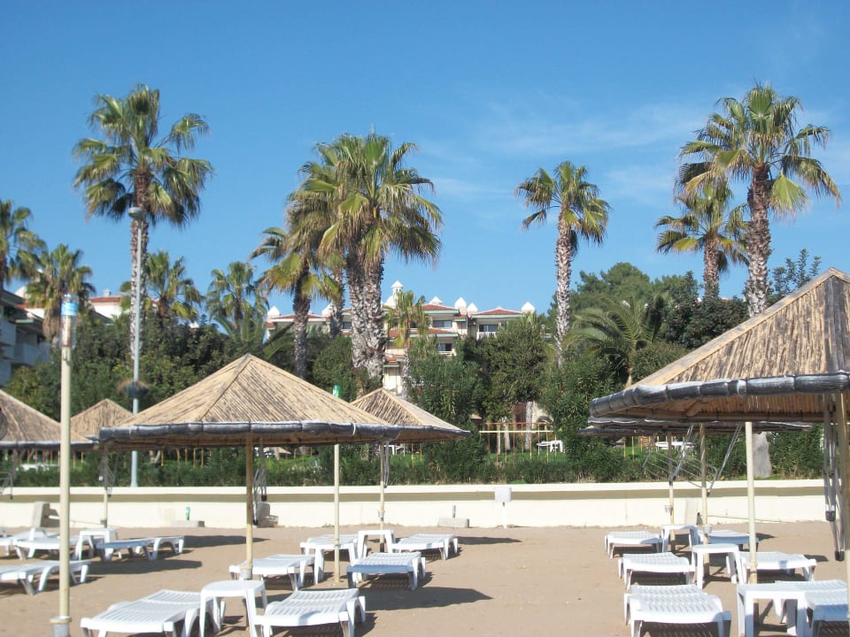 Sommertag Hotel Defne Star