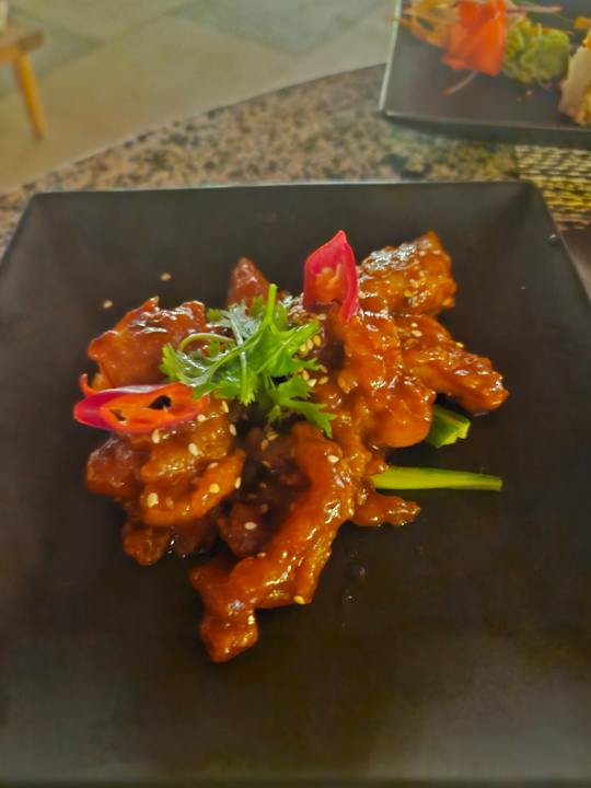 Gastro JAZ Elite Asteria