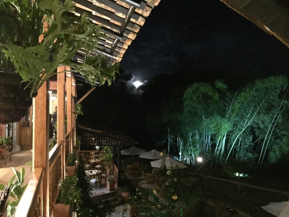 Gartenanlage Monasterio San Agustín